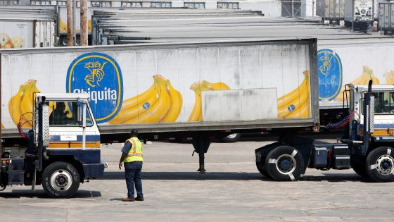 Major US banana firm Chiquita Brands ordered to pay $38m to victims of Colombian terror group it funded | US News – MASHAHER