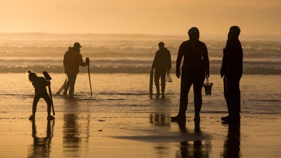 Oregon suffers ‘unprecedented’ shellfish poisoning outbreak as at least 20 people taken ill | US News – MASHAHER