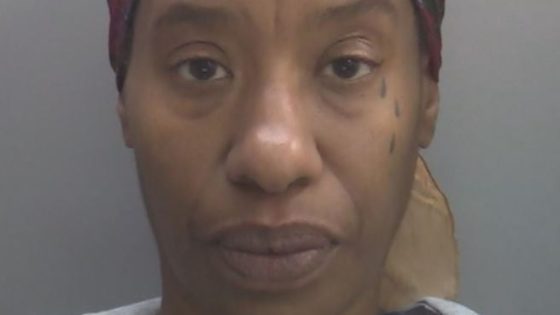 Patricia Pringle: Woman who killed elderly couple in Leicestershire crash while using phone jailed for nine years | UK News – MASHAHER