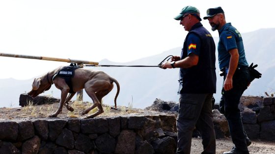 Jay Slater: Specialist search dogs brought in to hunt for missing teenager | World News – MASHAHER