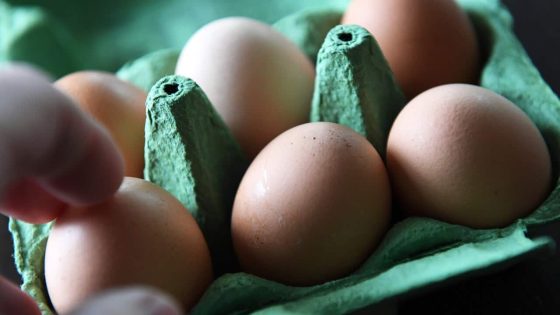 Bird flu fears prompt egg limits by coles. Here’s what we know – MASHAHER