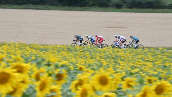 Yellow jerseys and ‘bicycle face’: What you need to know about the Tour de France 2024 – MASHAHER