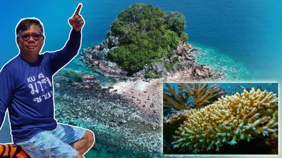 As Australia combats mass coral bleaching, this country issues a warning – MASHAHER