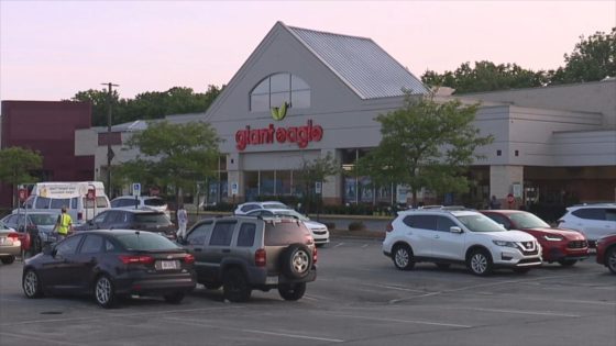 Woman allegedly stabs 3-year-old boy to death in random attack at grocery store parking lot – MASHAHER