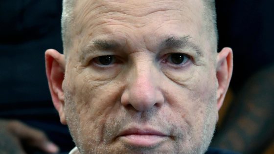 Harvey Weinstein lawyers argue he was denied fair trial in LA rape conviction appeal – MASHAHER