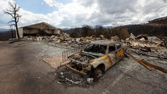 FBI seeks suspects in 2 New Mexico wildfires that killed 2 people, damaged hundreds of buildings – MASHAHER