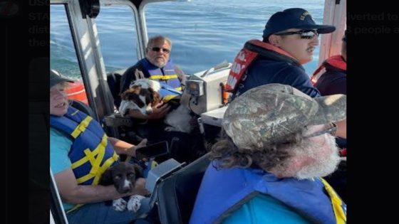 4 people, 2 dogs rescued after boat starts sinking on Lake Erie – MASHAHER