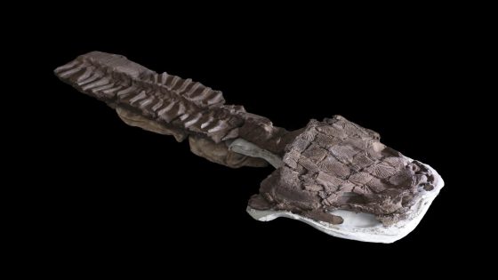 Fossils show huge salamanderlike predator with sharp fangs existed before the dinosaurs – MASHAHER