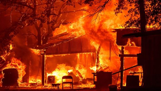 California’s Park Fire continues to grow as thousands flee to escape 7th largest inferno in state history – MASHAHER