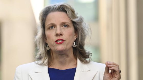 ‘Be really cautious’: Minister for Home Affairs Clare O’Neil urges Australians to remain vigilant amid the CrowdStrike global IT outage – MASHAHER