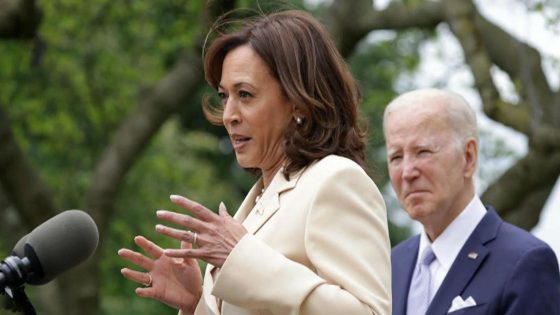 Many Democrats rally around Harris after Biden drops out – MASHAHER