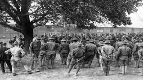 The Naturalization Tree at Camp Zachary Taylor – MASHAHER