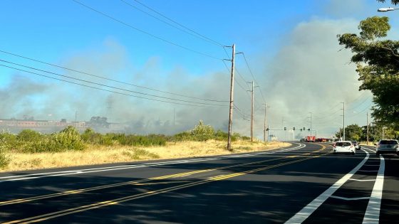 Brush fire reported near I-5 off North Game Farm Road – MASHAHER