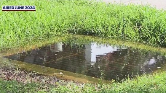 Florida woman faces lawsuit, code violation after filling storm drain with concrete, court records show – MASHAHER