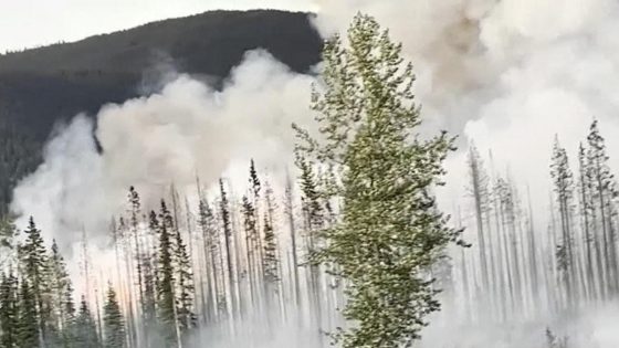 Wildfires burn across the western U.S., Canada – MASHAHER