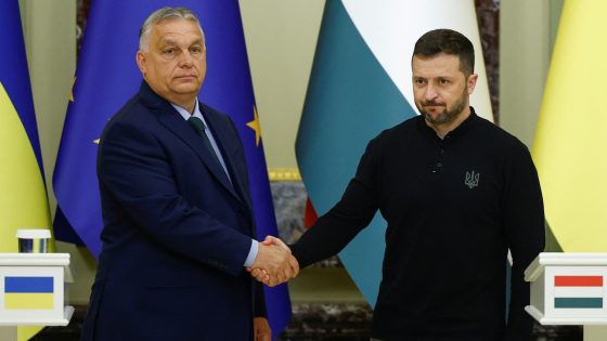 Ukraine’s Zelenskyy hits out at self-appointed peace negotiator Orban – MASHAHER