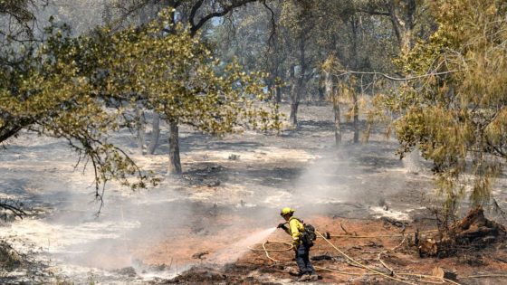 Wildfires across western U.S. and Canada force thousands to evacuate – MASHAHER