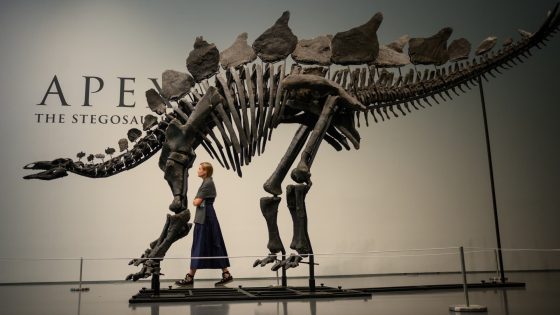 Citadel’s Ken Griffin buys a stegosaurus for $45 million in a record auction sale – MASHAHER