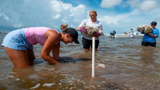 Students, Gulf Coast community come together to try and save our Mississippi Sound – MASHAHER