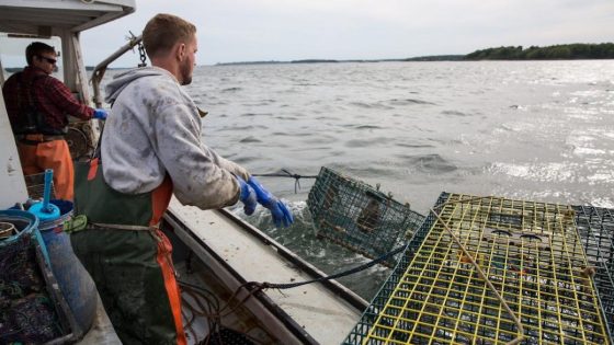 Dave Portnoy blasts Nantucket wind farm after broken blade shuts down beaches – MASHAHER