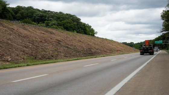 ODOT has removed patches of trees along Greater Cincinnati highways. Here’s why – MASHAHER