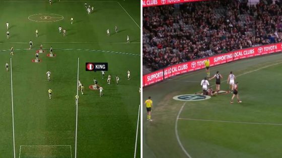 Jordan Lewis questions St Kilda Saints culture, vision of Max King not celebrating with teammates, video, latest news – MASHAHER