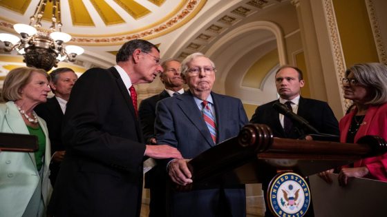 Trump, other GOP leaders called for McConnell to step down after freezes – MASHAHER