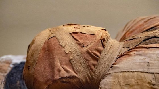 A 2,000-Year-Old Sarcophagus Was Just Unsealed—and the Mummy Inside is Mind-Blowing – MASHAHER