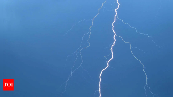 12 more die in lightning strikes in Bihar, toll hits 37 in 6 days | India News – MASHAHER