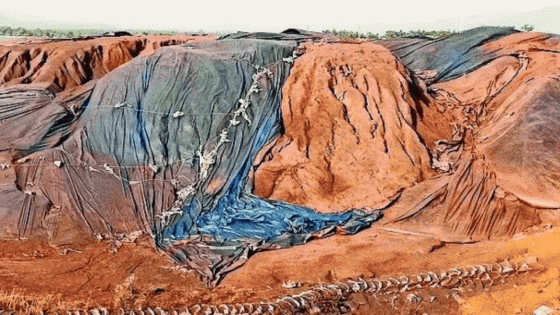 Have shut 886 mines over violations, says Telangana official | India News – MASHAHER