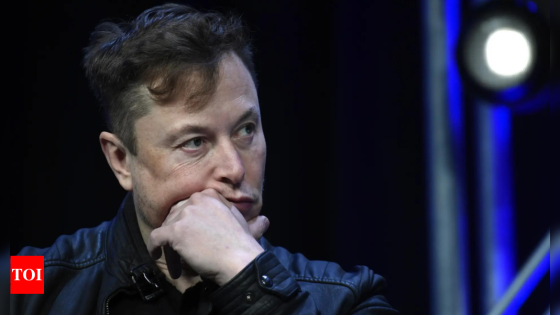 “I have not …volunteered my sperm”: Why Elon Musk said this to an X user – MASHAHER