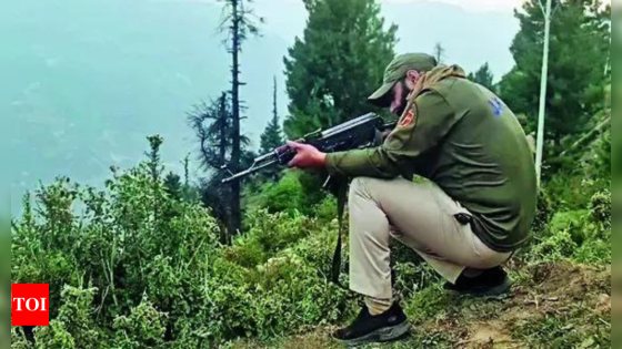 2 terrorists killed in encounter in J&K’s Kupwara in anti-infiltration operation | India News – MASHAHER