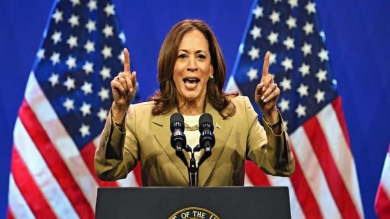 HAVE YOUR SAY – Can Kamala Harris win over Democrat supporters in time for the election? COMMENT NOW – MASHAHER