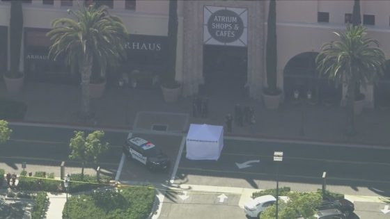 Suspects in custody after deadly shooting at Fashion Island in Newport Beach – MASHAHER