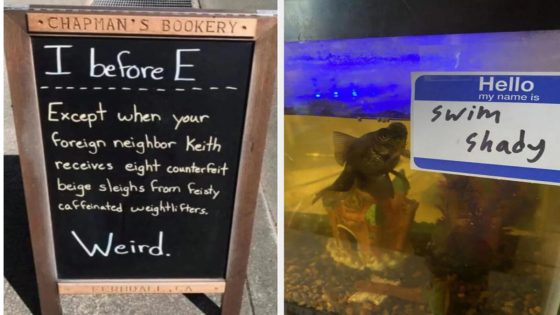 Forgive Me, I’m Still Laughing At The 17 Funniest Signs Of The Week – MASHAHER