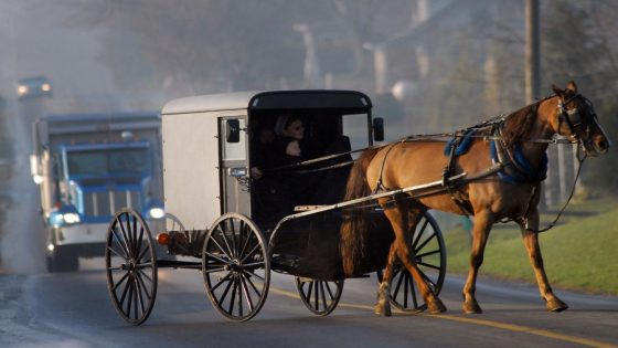 Eight people, including infant, hospitalized in Lancaster County horse and buggy crash – MASHAHER