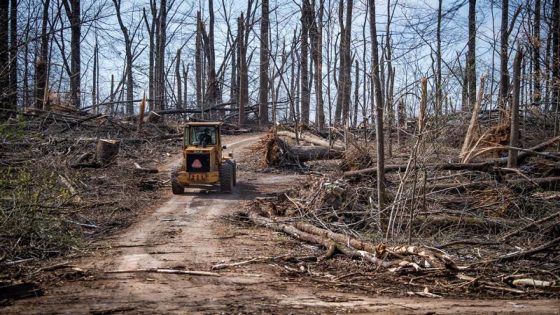 Get outdoors this weekend and enjoy all Mother Nature has to offer across Indiana – MASHAHER