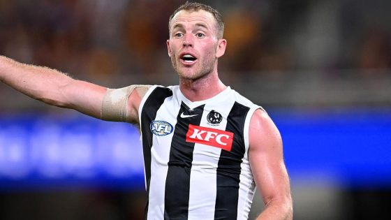 Tom Mitchell on foot injury, setback, return, Collingwood Mapgies’ shaky premiership defence, Craig McRae, Darcy Moore, criticism, game against Hawthorn Hawks, preview, Jack Ginnivan, latest news – MASHAHER