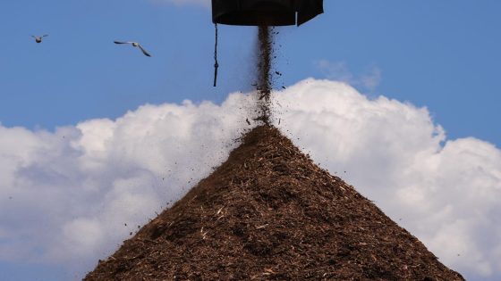 Wood pellets production boomed to feed EU demand. But it’s come at a cost for Blacks in the South – MASHAHER