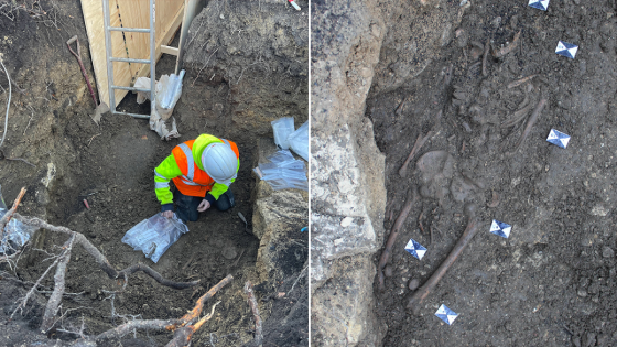 Archaeologists unearth 24 skeletons on hotel property dating back to 7th century – MASHAHER