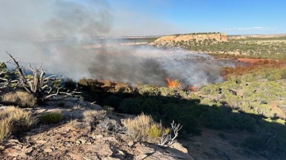 Kings Canyon fire mapped at over 200 acres – MASHAHER