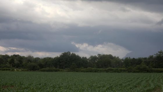 Did a tornado touch down in upstate NY? NWS sending team to investigate – MASHAHER