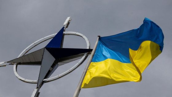 NATO allies at summit to unveil Ukraine ‘bridge to membership’ – MASHAHER