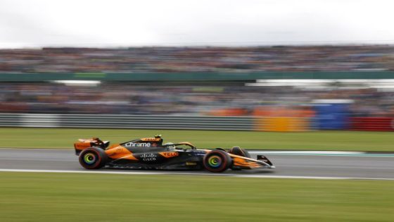 Motorsport: Motor racing-Norris alongside Verstappen with Mercedes in his sights – MASHAHER