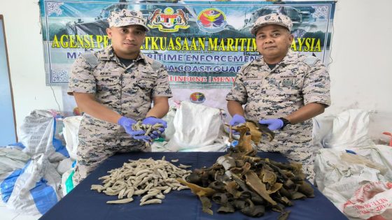 Kudat MMEA crippled attempt to smuggle protected turtle meat and sea cucumber – MASHAHER