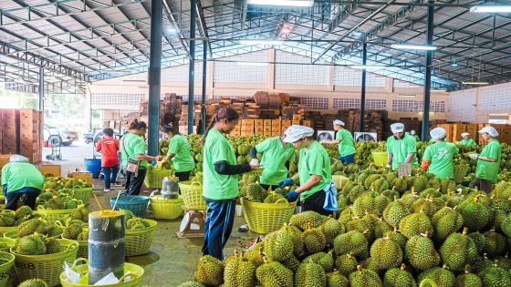 For some,durian is not $melly at all – MASHAHER