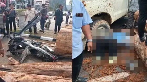 Woman crushed by logs in Gua Musang regains consciousness – MASHAHER