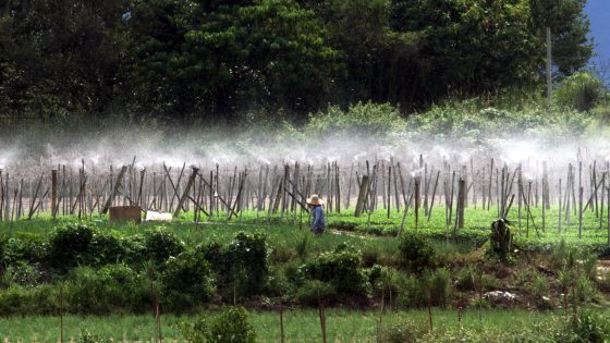 Malaysia-Philippines bilateral agricultural cooperation to be increased, says ministry – MASHAHER