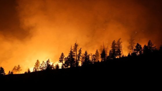 Wildfires in Canada’s Alberta, British Columbia prompt evacuation orders – MASHAHER