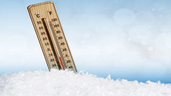 QuickCheck: Is it true you burn calories when cold? – MASHAHER